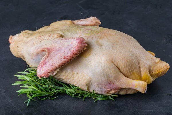 Raw duck carcass prepared for roasting, studio shot