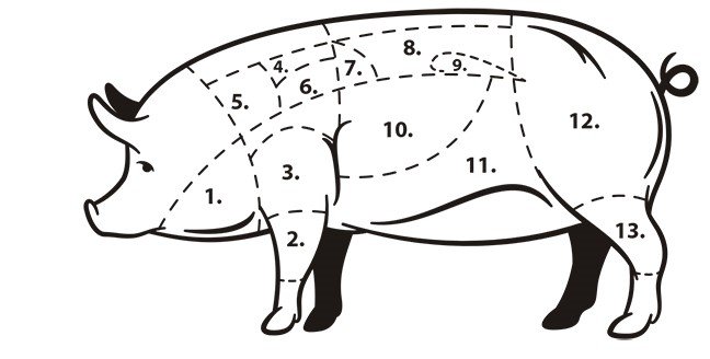 Fleischlexikon Schwein